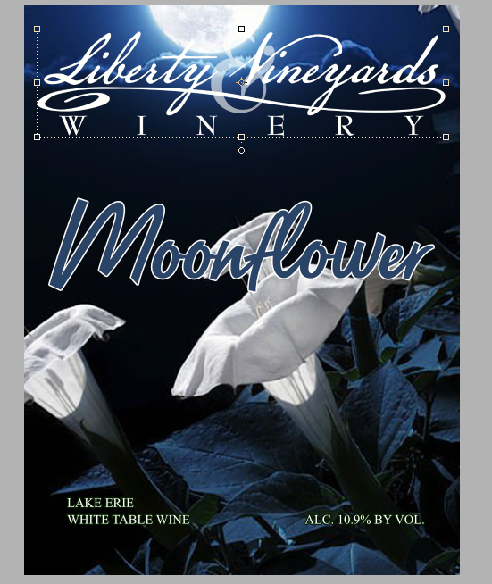 Product Image for Moonflower